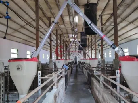 Prodaja, kuća, 228m², Kelebija, Subotica - image 14