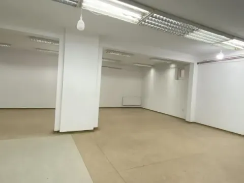 Izdavanje, poslovni prostor, 300m², Petrovaradin, Novi Sad - image 3