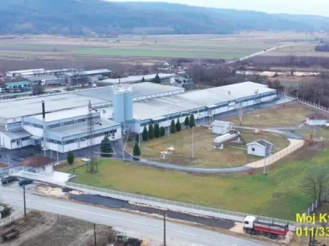 Prodaja, poslovni prostor, 3053m², Veliko Gradište, Srbija - image 3