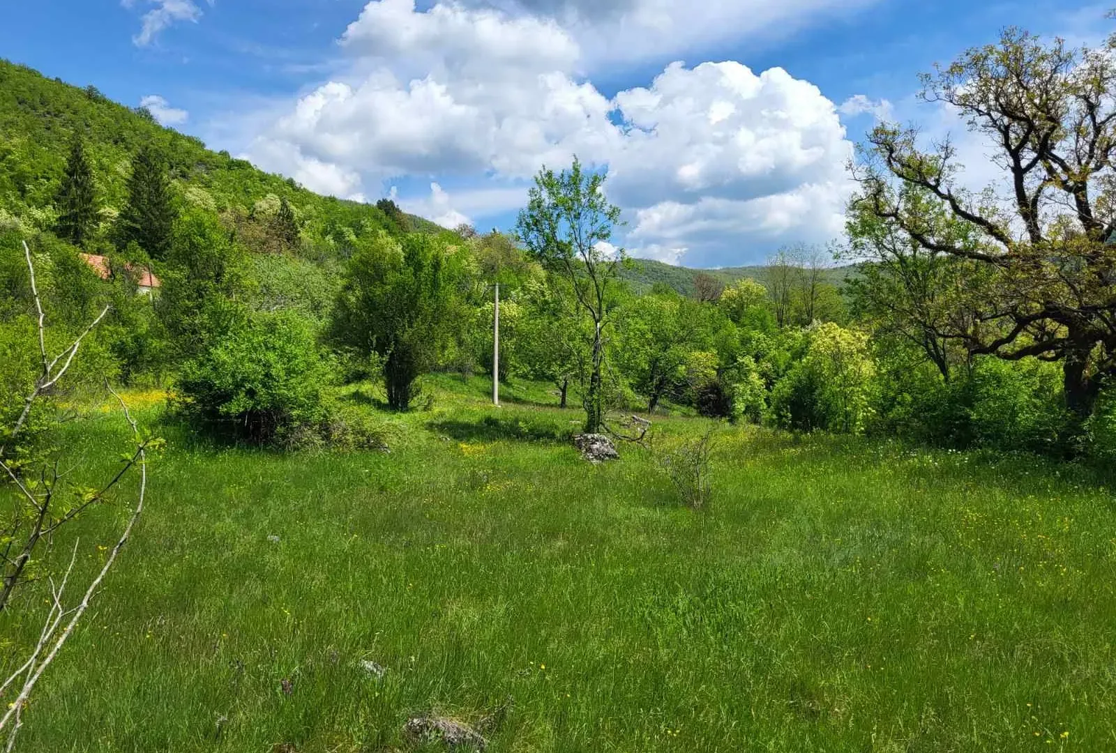 Prodaja, plac, 160000m², Nikšić, Crna Gora