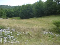 Prodaja, plac, 199938m², Donja Bukovica, Šavnik - image 5