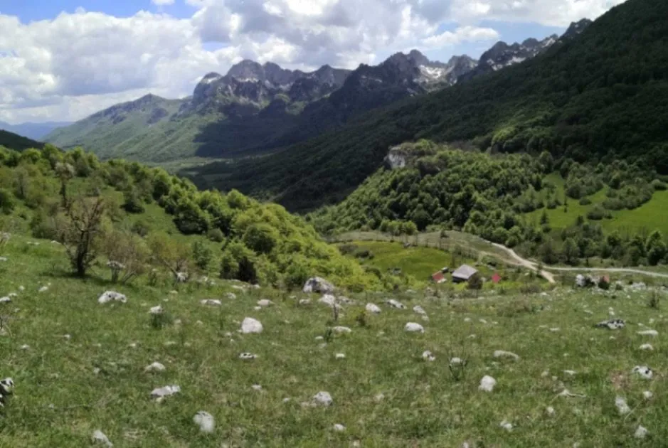 Prodaja, plac, 32013m², Gornje Lipovo, Kolašin