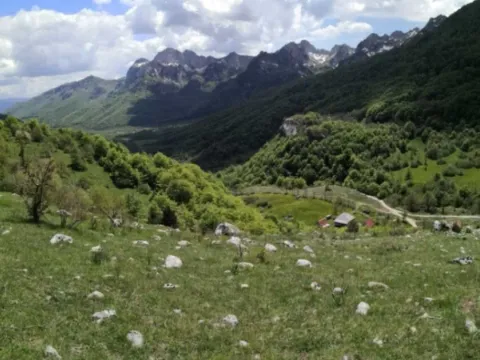 Prodaja, zemljište, 32013m2, Gornje Lipovo, Kolašin Prodaja, zemljište, 32013m2, Gornje Lipovo, Kolašin