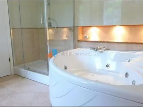 Rent, house, 300m², Voždovac Sve Podlokacije, Beograd - image 10