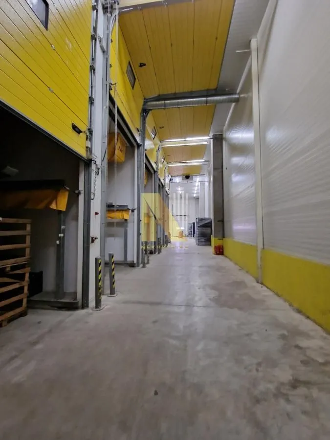 Rent, office space, 1200m², Čenej, Novi Sad Sve Podlokacije