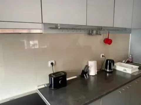 Izdavanje, jednosoban stan, 42m², Denkova Basta, Zvezdara Sve Podlokacije - image 5