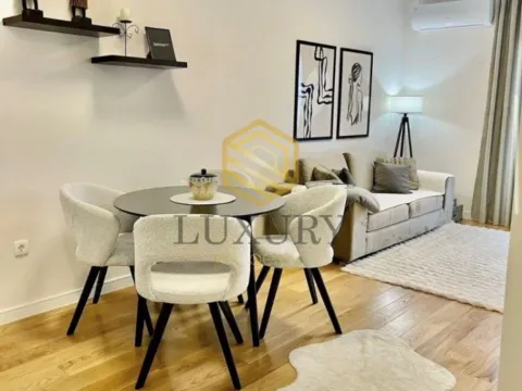 Izdavanje, jednosoban stan, 39m², Central Point, Podgorica - image 3