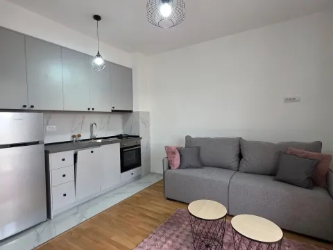 Rent, apartment, 33m², Zabjelo, Podgorica - image 4
