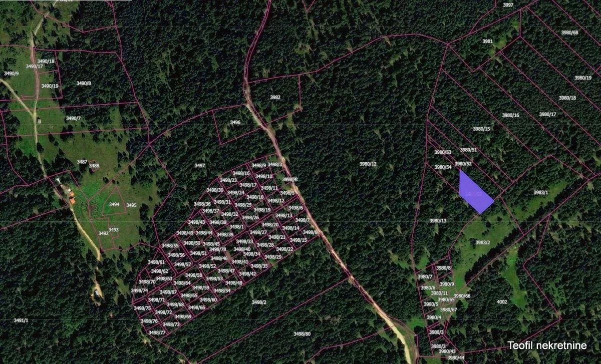 Prodaja, plac, 1900m², Golija, Ivanjica