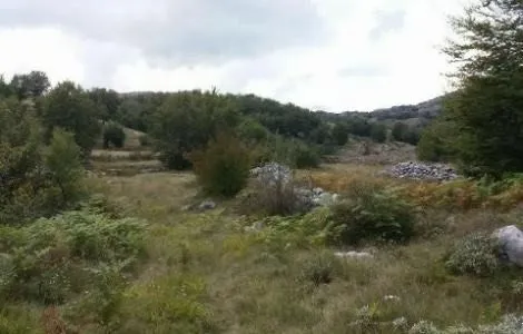 Prodaja, plac, 20000m², Cetinje, Crna Gora