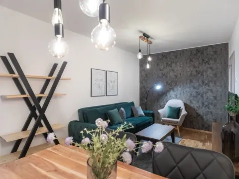 Prodaja, dvosoban stan, 45m², Centar, Novi Sad - image 4