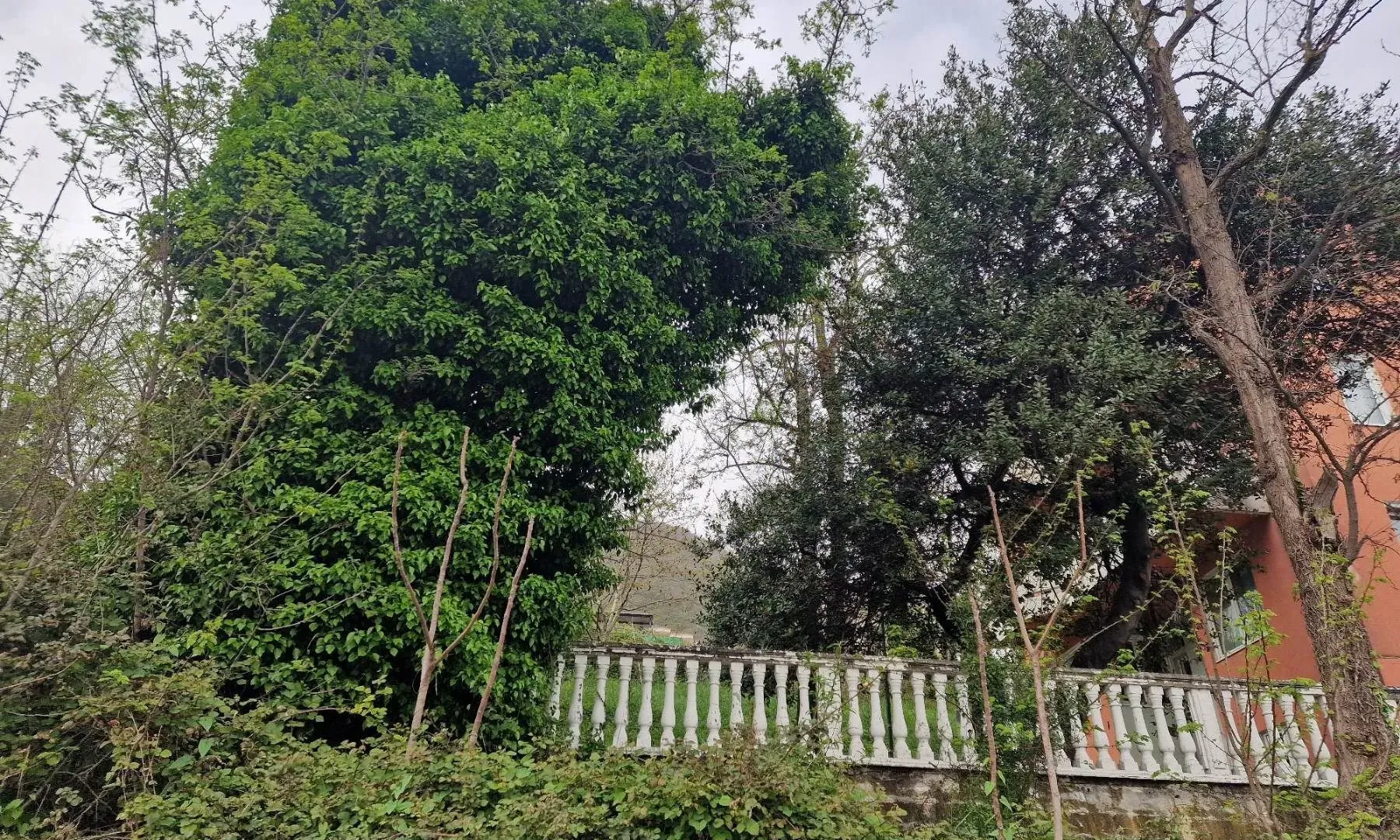 Prodaja, plac, 420m², Bijela, Herceg Novi