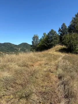Prodaja, plac, 1350m², Moračko Trebaljevo, Kolašin - image 7