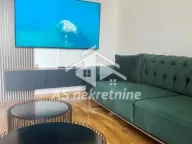 Izdavanje, dvosoban stan, 50m², Hala Pionir, Palilula Sve Podlokacije - image 3