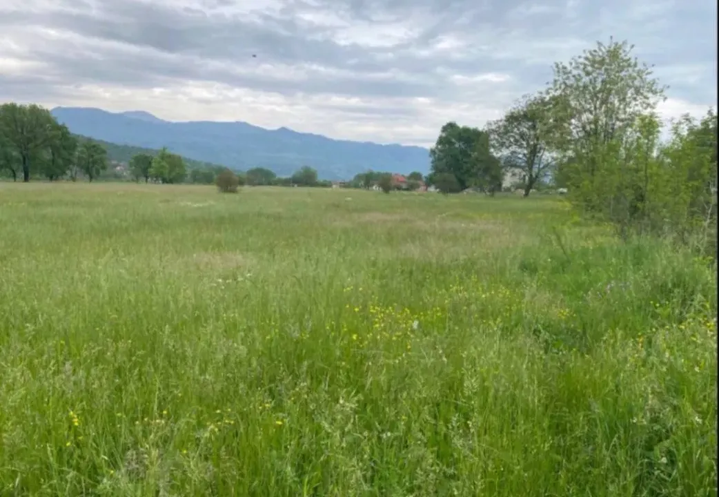 Prodaja, plac, 3000m², Danilovgrad, Crna Gora