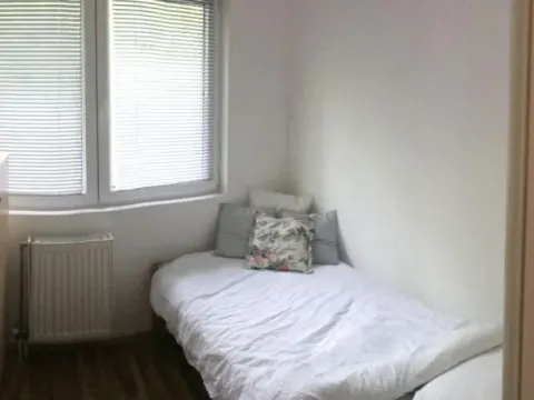 Prodaja, dvosoban stan, 38m², Zvezdarska Šuma, Zvezdara Sve Podlokacije - image 11