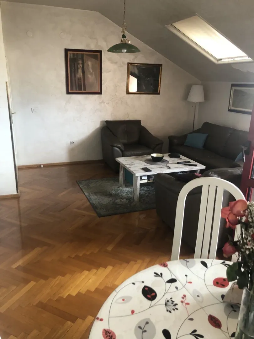 Dnevna soba sa kožnim namještajem i krovnim prozorom.