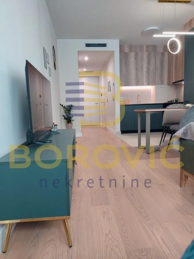 Pogled na dnevnu sobu sa televizorom i kuhinjom u pozadini.