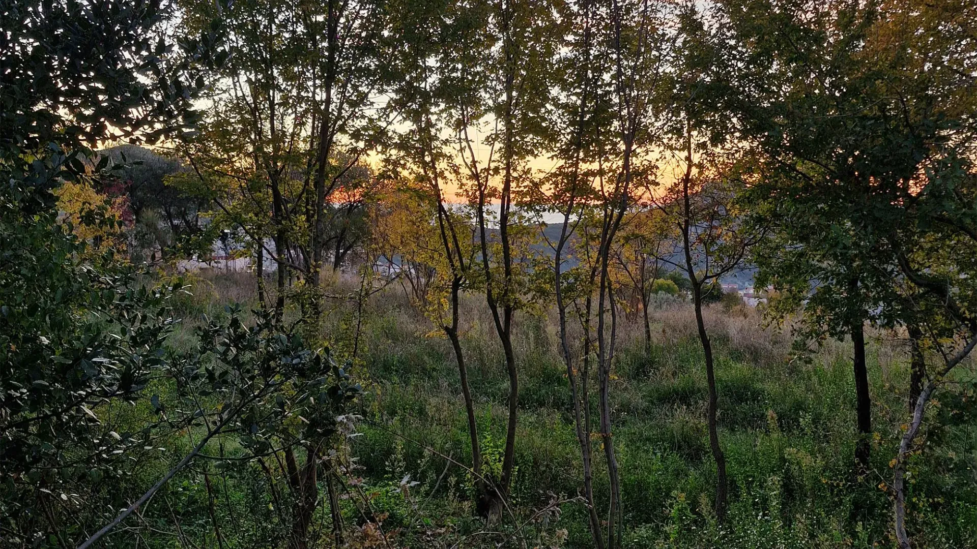 Prodaja, plac, 550m², Zaljevo, Bar
