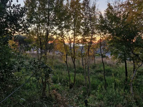 Prodaja, plac, 550m², Zaljevo, Bar - image 6