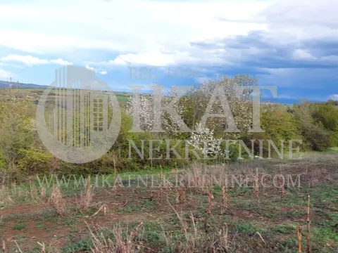 Sale, land lot, 55000m², Kosmaj, Sopot - image 4