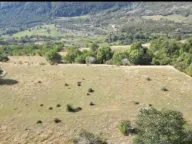 Prodaja, plac, 13808m², Gornje Lipovo, Kolašin - image 2