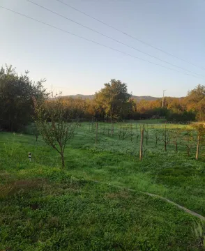 Prodaja, kuća, 130m², Barutana, Podgorica - image 8