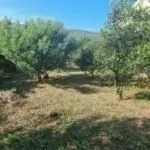 Prodaja, plac, 1658m², Herceg Novi, Crna Gora - image 4