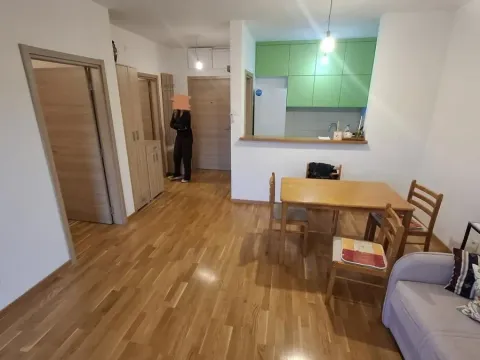 Izdavanje, jednosoban stan, 40m², Jugovićevo, Novi Sad Sve Podlokacije - image 2