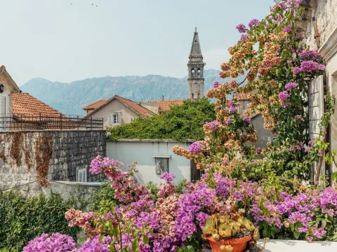 Prodaja, kuća, 382m², Perast, Kotor - image 39