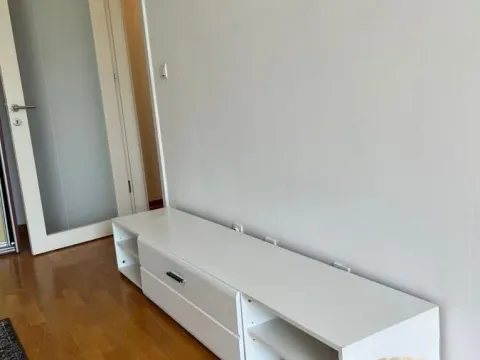 Izdavanje, dvosoban stan, 60m², Novi Beograd Blok 67, Novi Beograd Sve Podlokacije - image 5