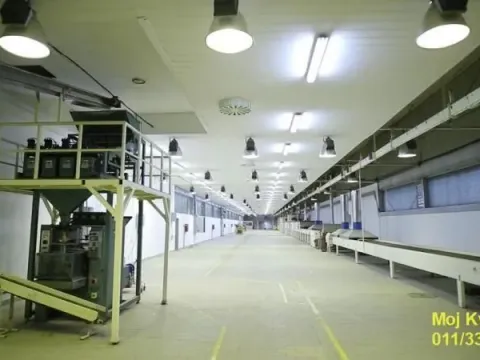 Prodaja, poslovni prostor, 3053m², Veliko Gradište, Srbija - image 11