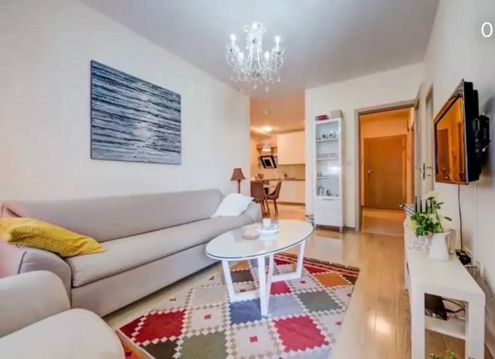 Furnished living room with sofa and colorful rug.