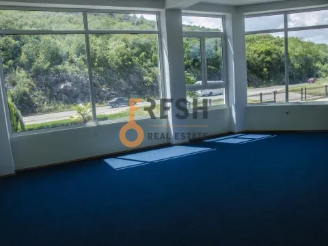 Sale, office space, 900m², Ostalo, Podgorica - image 9