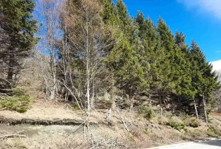 Prodaja, plac, 4200m², Raška, Srbija