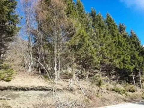 Prodaja, plac, 4200m², Raška, Srbija - image 10