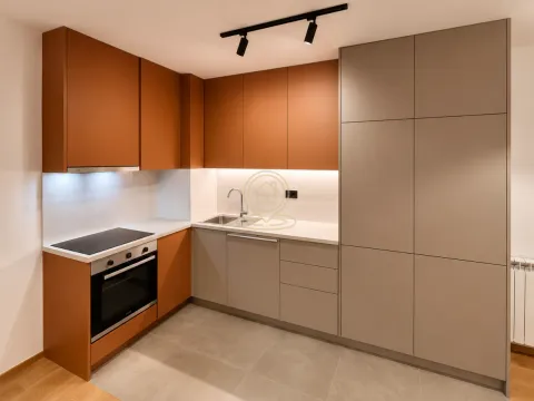 Izdavanje, dvosoban stan, 61m², Hala Pionir, Palilula Sve Podlokacije - image 5