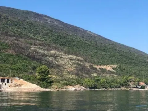 Prodaja, plac, 55000m², Krašići, Tivat - image 3