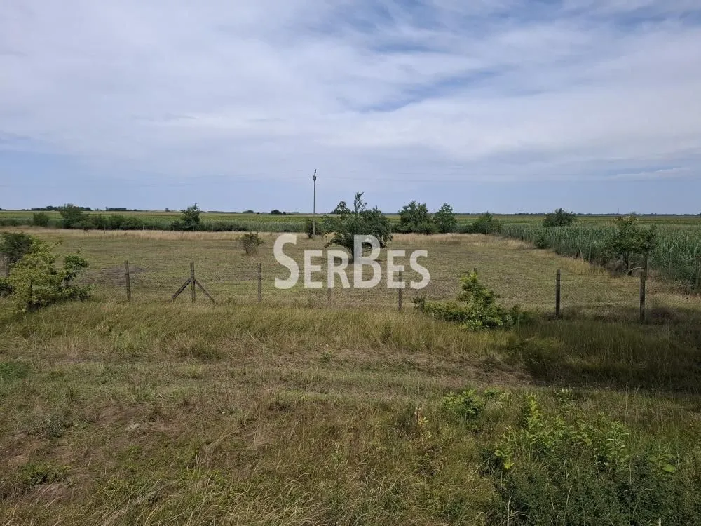 Prodaja, plac, 19197m², Čenej, Novi Sad Sve Podlokacije