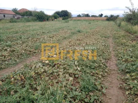 Prodaja, plac, 3150m², Ostalo, Podgorica - image 5