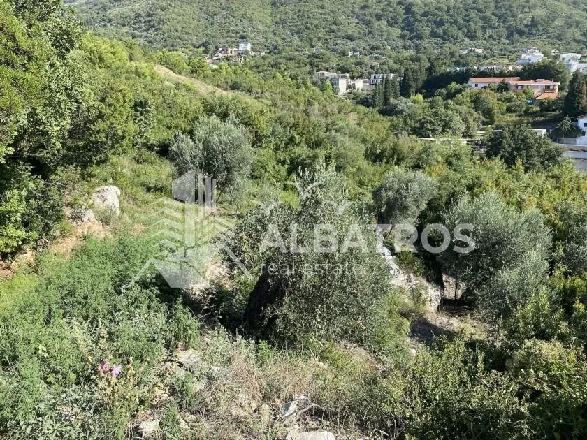 Prodaja, plac, 8000m², Šušanj, Bar