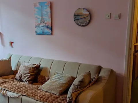 Rent, apartment, 45m², Podgorica, Crna Gora - image 1