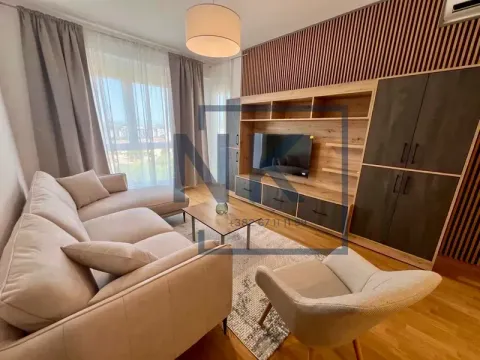 Izdavanje, jednosoban stan, 47m², Zabjelo, Podgorica - image 1