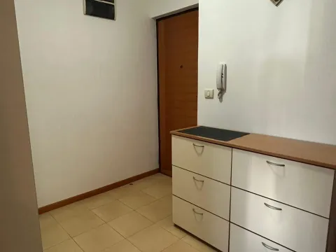 Izdavanje, jednosoban stan, 59m², Preko Morače, Podgorica - image 9