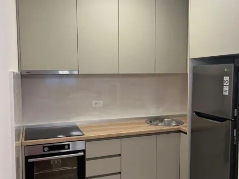 Rent, one bedroom apartment, 48m², Central Point, Podgorica - image 3