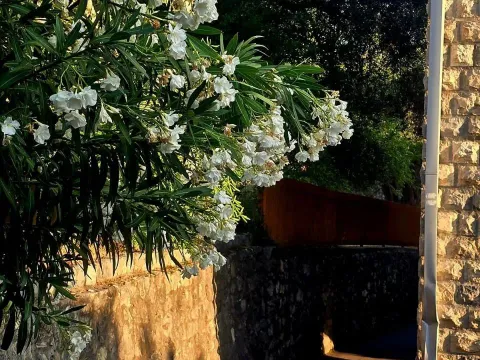 Prodaja, jednosoban stan, 31m², Rafailovići, Budva - image 2