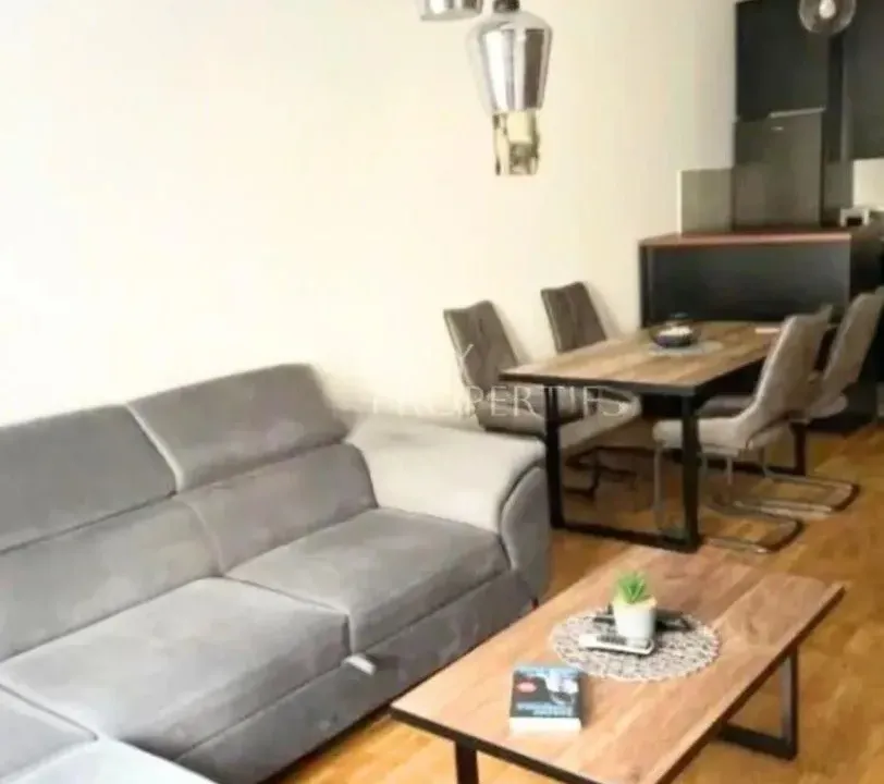 Izdavanje, jednosoban stan, 50m², Stari Aerodrom, Podgorica