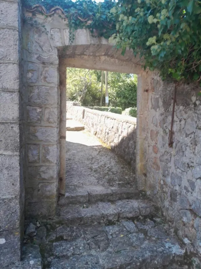 Prodaja, plac, 1720m², Kotor, Crna Gora