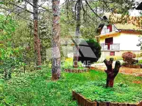 Prodaja, kuća, 213m², Centar, Čajetina - image 13