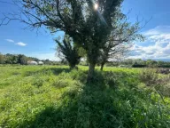 Prodaja, plac, 2737m², Kosić, Danilovgrad - image 3